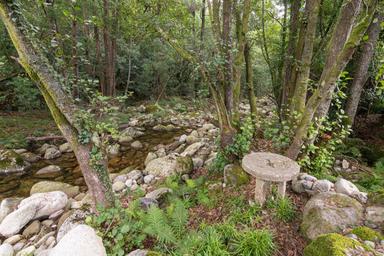 Entre Os Rios - Casa Rural Y Enoturismo โปบราโดคารามิงยาล ภายนอก รูปภาพ