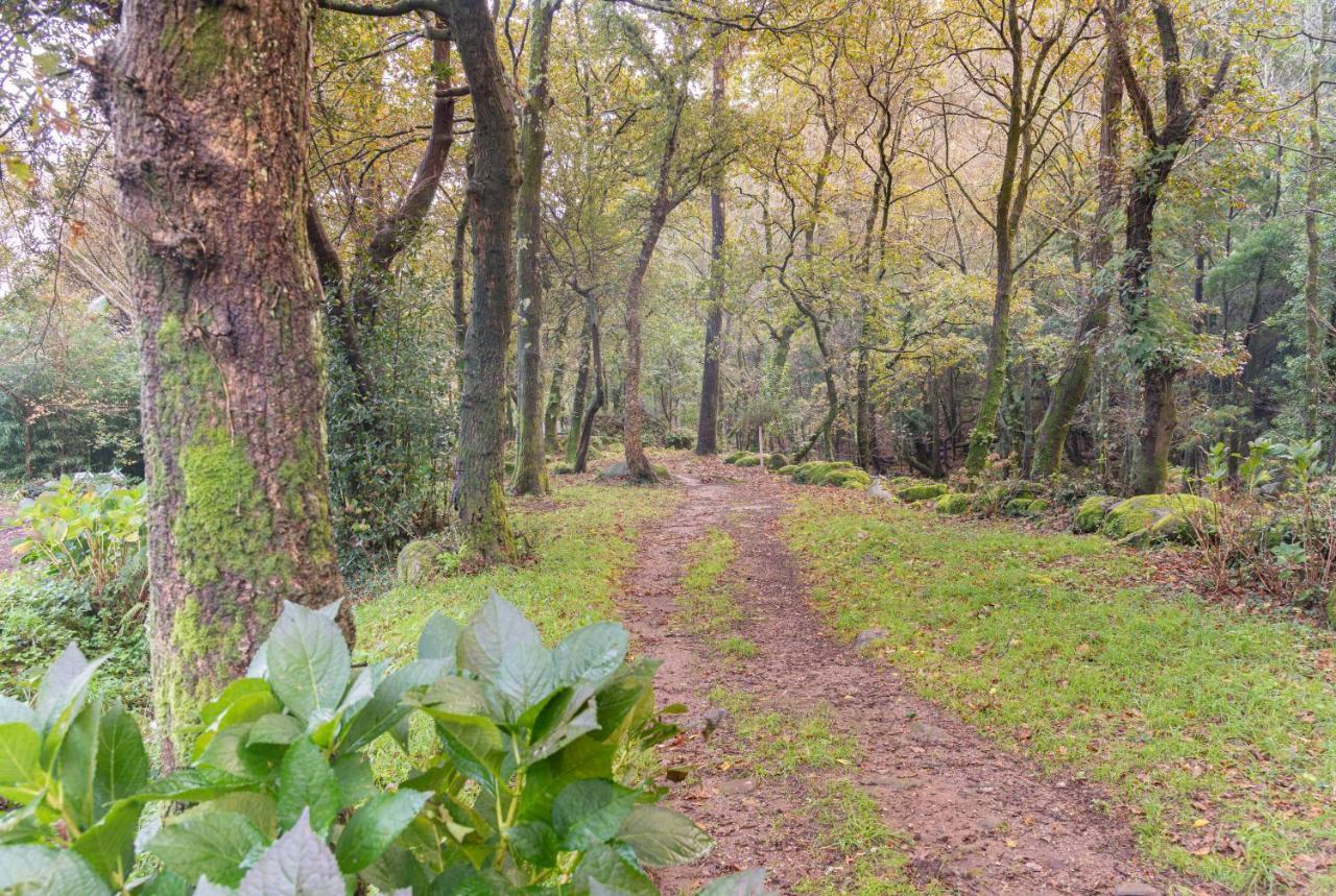 Entre Os Rios - Casa Rural Y Enoturismo โปบราโดคารามิงยาล ภายนอก รูปภาพ
