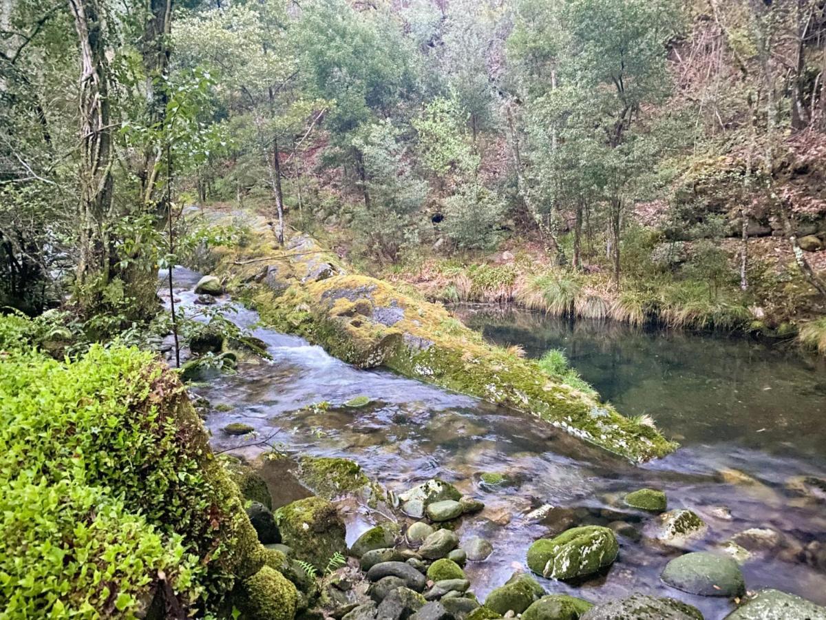 Entre Os Rios - Casa Rural Y Enoturismo โปบราโดคารามิงยาล ภายนอก รูปภาพ